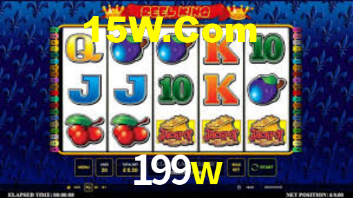 199w.com