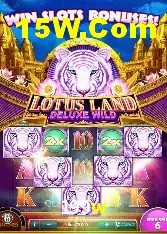 Casino Ao Vivo 199w
